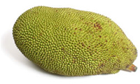 Kathal - Jackfruit, national fruit of Bangladesh